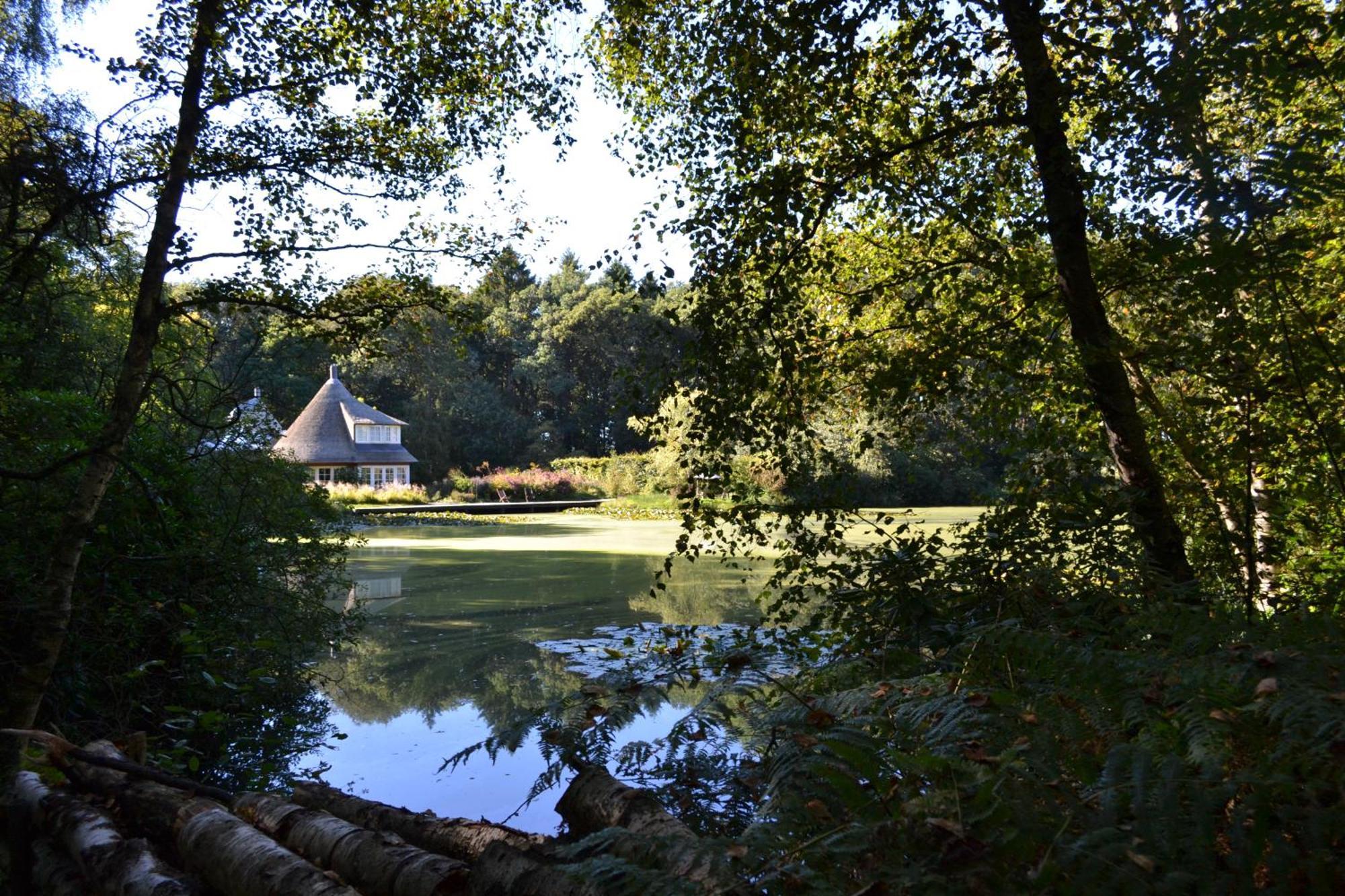 De Specht Villa Anloo Kültér fotó